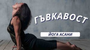 Гъвкаво гръбче